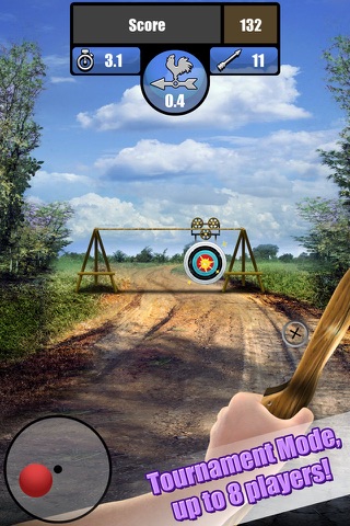 Archery Tournament screenshot 3