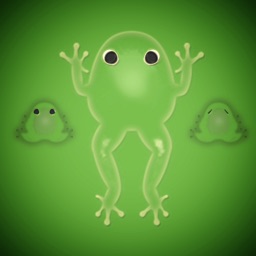 Breeding Guide for Pocket Frogs