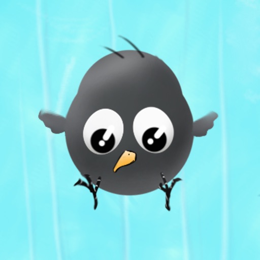 Ravens! iOS App