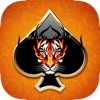 Tiger Poker Temple - Video Poker