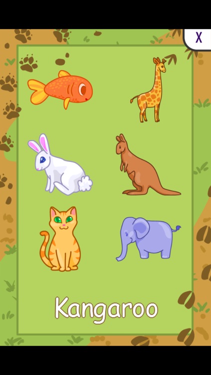Animals Toddler Preschool