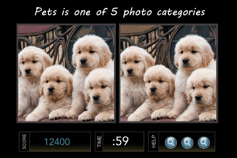 Spot the Difference Image Hunt Puzzle Game -Silver Edition screenshot 3