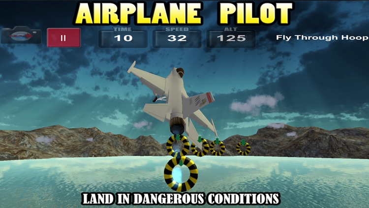 Airplane Pilot