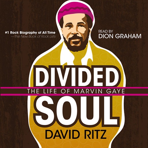 Divided Soul (by David Ritz) icon