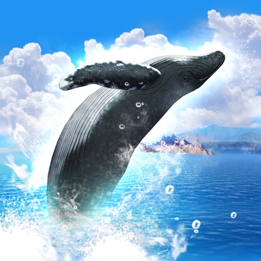 REAL WHALES  Find the cetacean. Icon