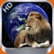 Explore some of the most amazing animals in the world