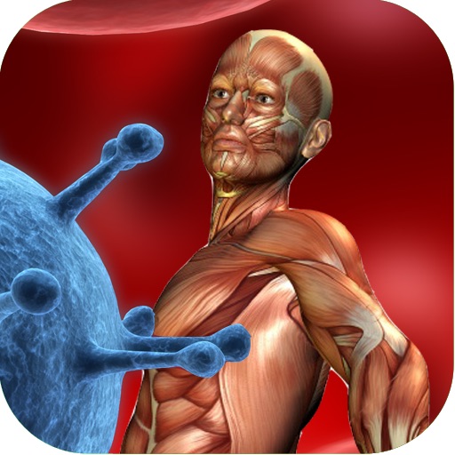 3D Visual Muscle Trigger Points