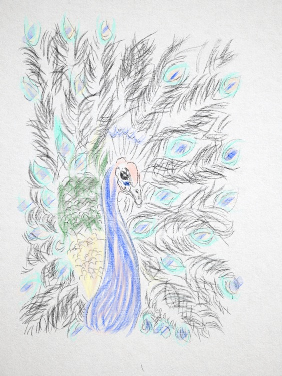 Graphite Lite: Pencil Sketching and Tracing