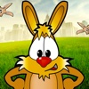 Cute Jokes - Laugh about rabbits, birds and ducks!