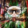 ASK YOLO CAT