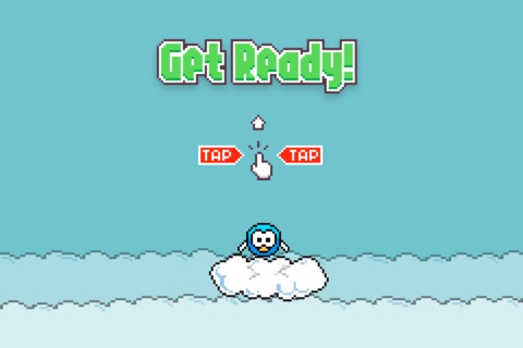 A Fly Birdie screenshot 3