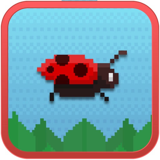 Bouncy Ladybug icon