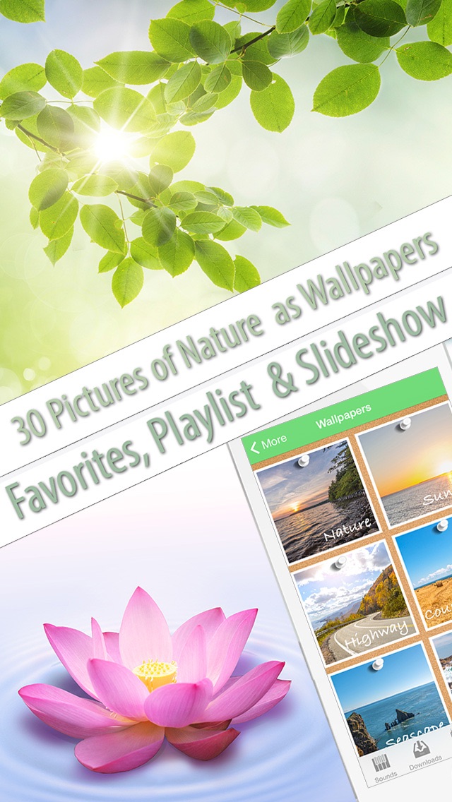 Nature Music (helps to relax, meditate, sleep, yoga and SPA) screenshot 3