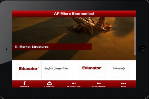 AP Microeconomics Complete Review! screenshot 3