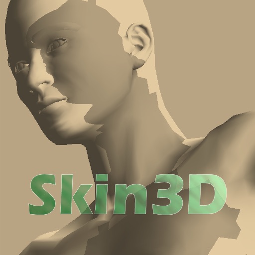 Skin3D