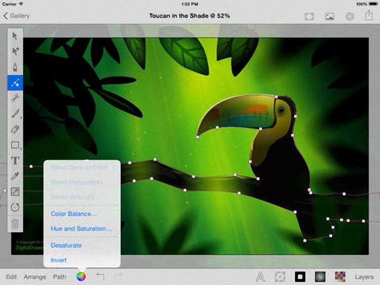 iDraw Plus - Vector illustration & Graphics & Art Design