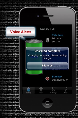 Battery Voice Free screenshot 2