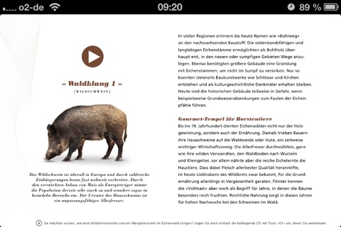 Waldklang screenshot 4