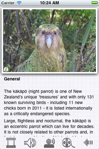 NZ Fauna screenshot 2