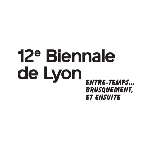 Biennale de Lyon 2013 icon