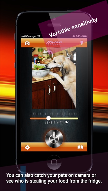 Motion sensor - hidden camera & video surveillance