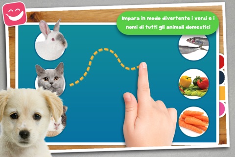 Free Teach me Pets Photo, Learn where the cat sleeps and what the dog eats screenshot 2