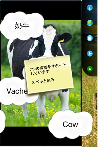 DIY Baby Flash Cards - Farm Animals screenshot 4