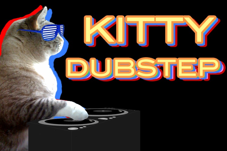Dubstep Kitty