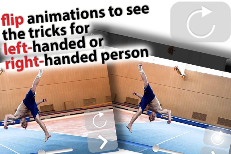 Martial Arts Tricking