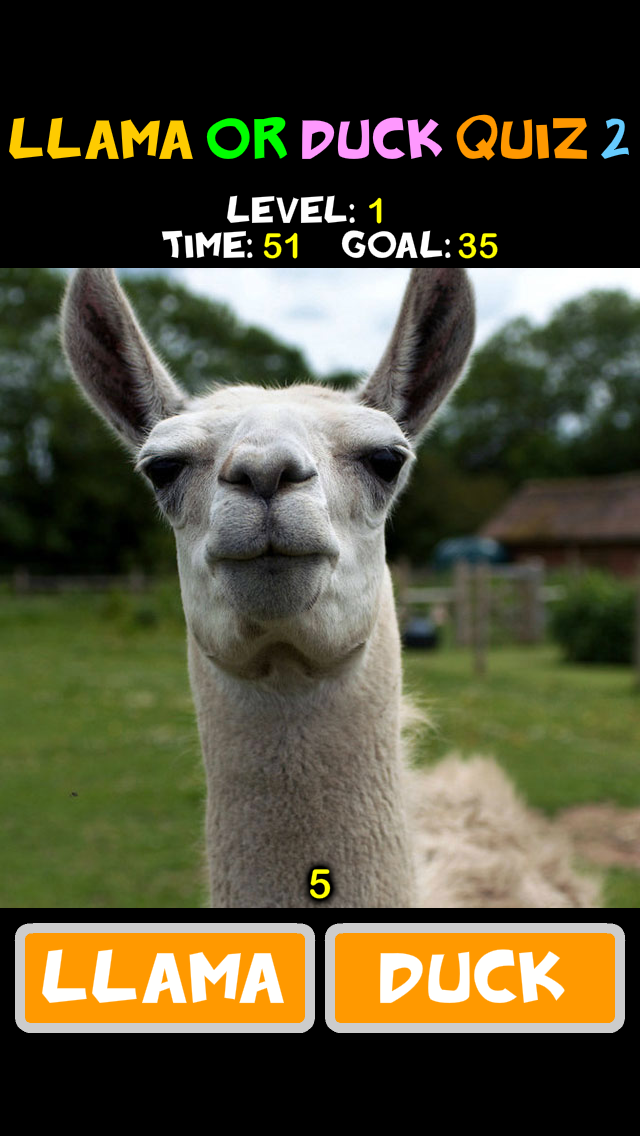 Llama or Duck Quiz 2 screenshot 1