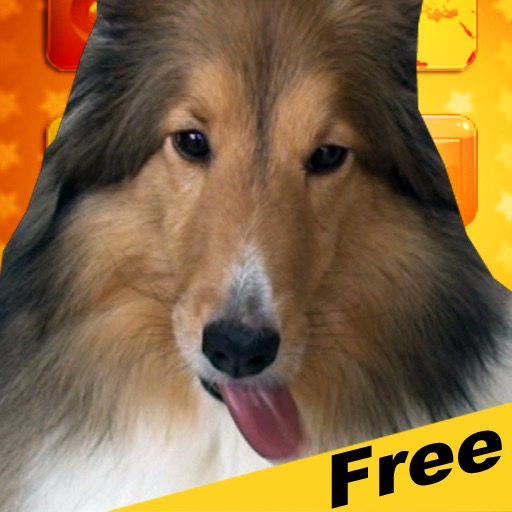 Magic Dog Screen Cleaner iOS App