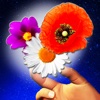 Flower Draw - Art of Drawing with Color Flowers