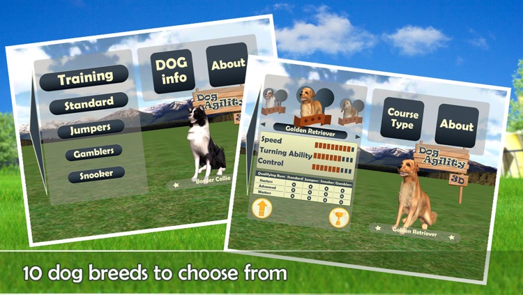 Dog Agility 3D