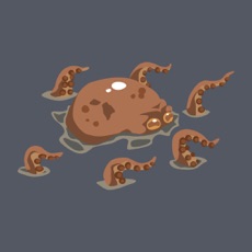 Activities of Little Kraken