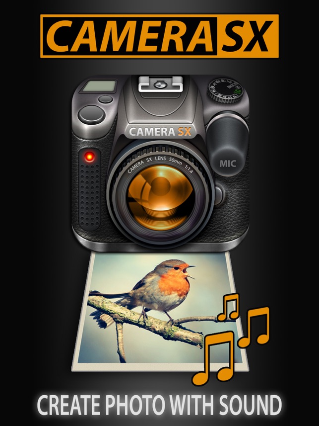 Camera SX for iPad : Photo with Sound