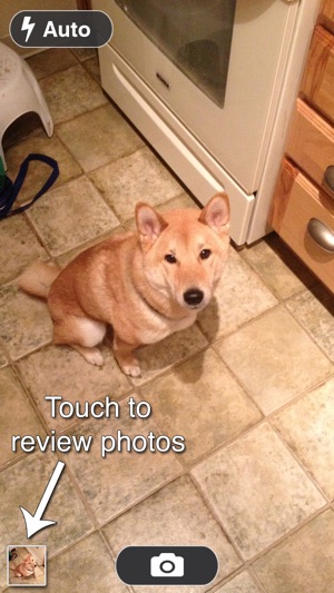 Say Bacon(圖2)-速報App