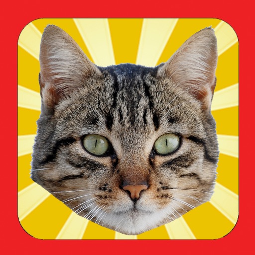 Cat Yourself icon