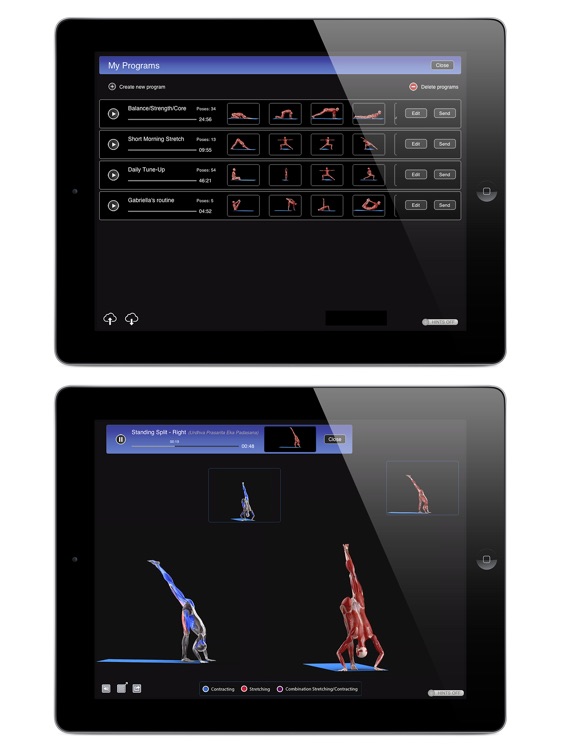 iYoga - Premium screenshot-3