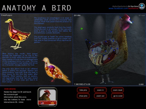 Anatomy a Bird screenshot 4