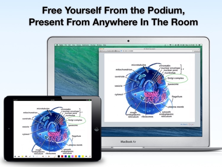 Air Sketch: Interactive Whiteboard and Wireless Presentations