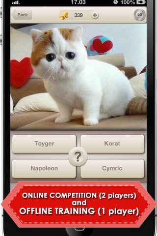 Cats: Guess & Win! screenshot 4