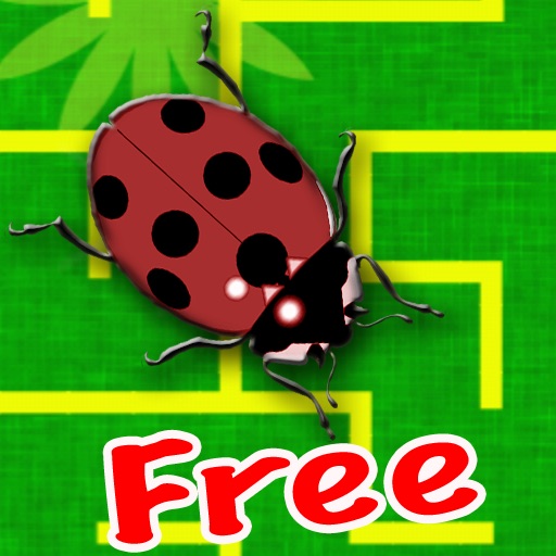Ladybug Maze Free