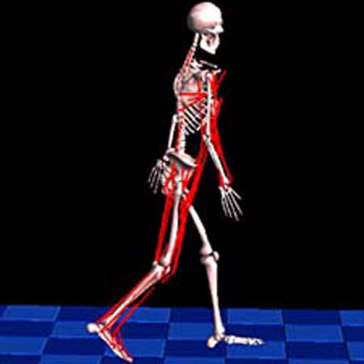 Anatomy Terms of Motion Anatomy Terms of Motion