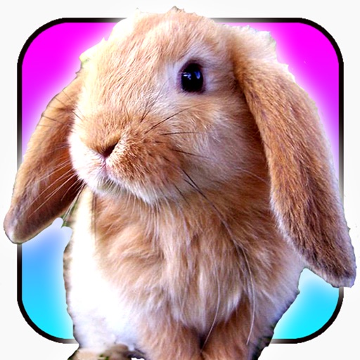 A Talking Easter Bunny icon