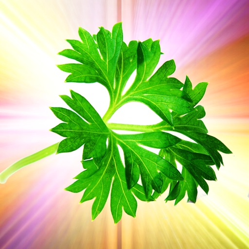 Magical Herbs Bible