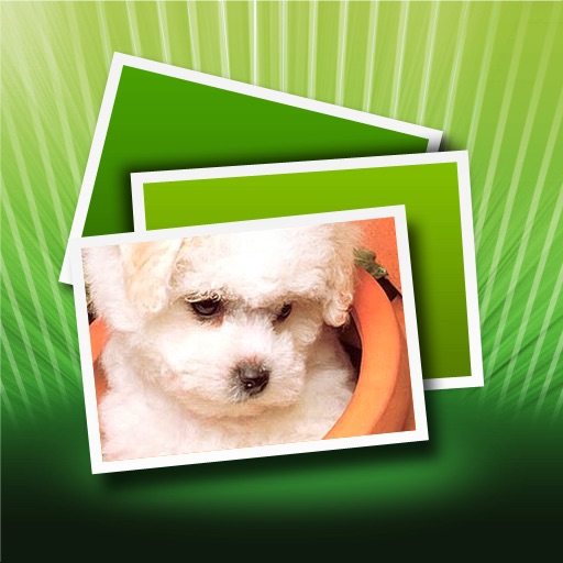 Pet Wallpaper icon