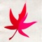 KOUYOU is a poetic augmented reality app that allows people to write notes on Japanese maple leaves and blow these across the globe