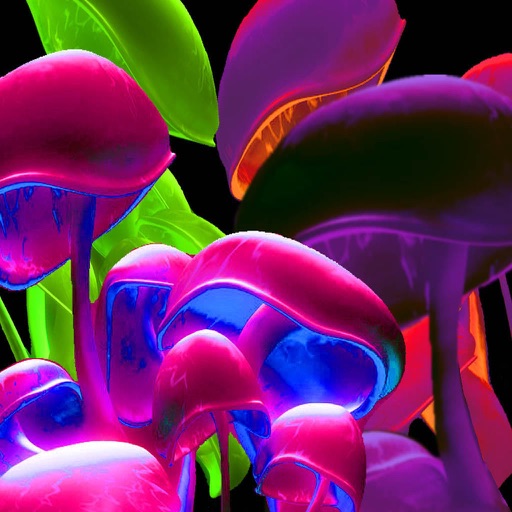 Neon Wallpapers! icon