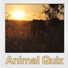 Animal Quiz US / UK
