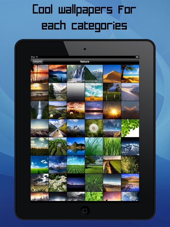 Cool Wallpapers for iPad Pro